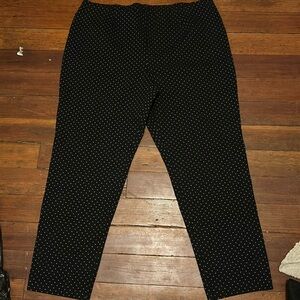 Dressy pants